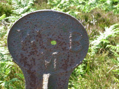 
'W&BM' Wentsland and Bryngwyn Manor, Waun Wen, July 2011